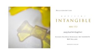 Photography Exhibition “Intangible - Formless Objects